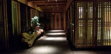 黄山徽自在精品客栈深度体验报告 服务、环境与住宿全方位解析