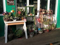 西水遇精品客栈住客评价全览 诗意栖居的真实体验